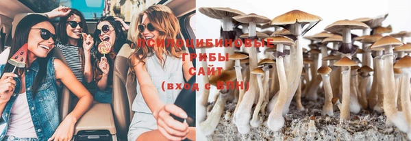 молекула духа Заволжск